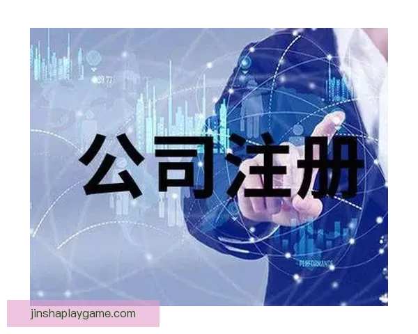 金沙APP使用教程详解从注册登录到功能操作全流程指南